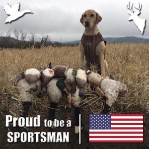 Meet your Posher, Scotty